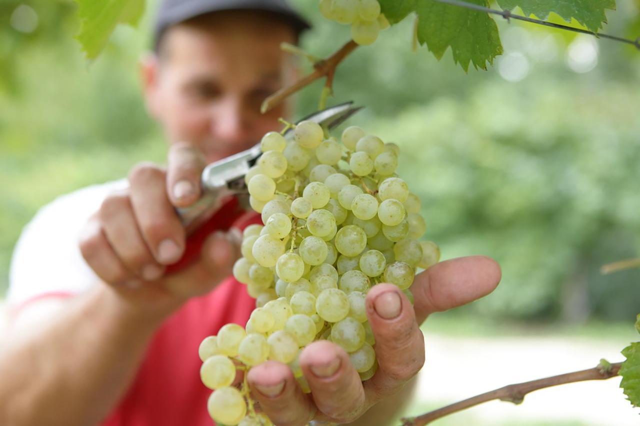 Tenuta Santome Biancade Zewnętrze zdjęcie